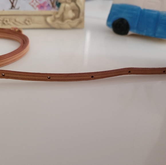 Authentic Louis Vuitton Strap For Walker! - Picture 8 of 10